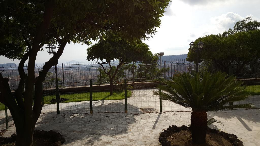 Vacation Agrumeto Flegreo Casa vacanze