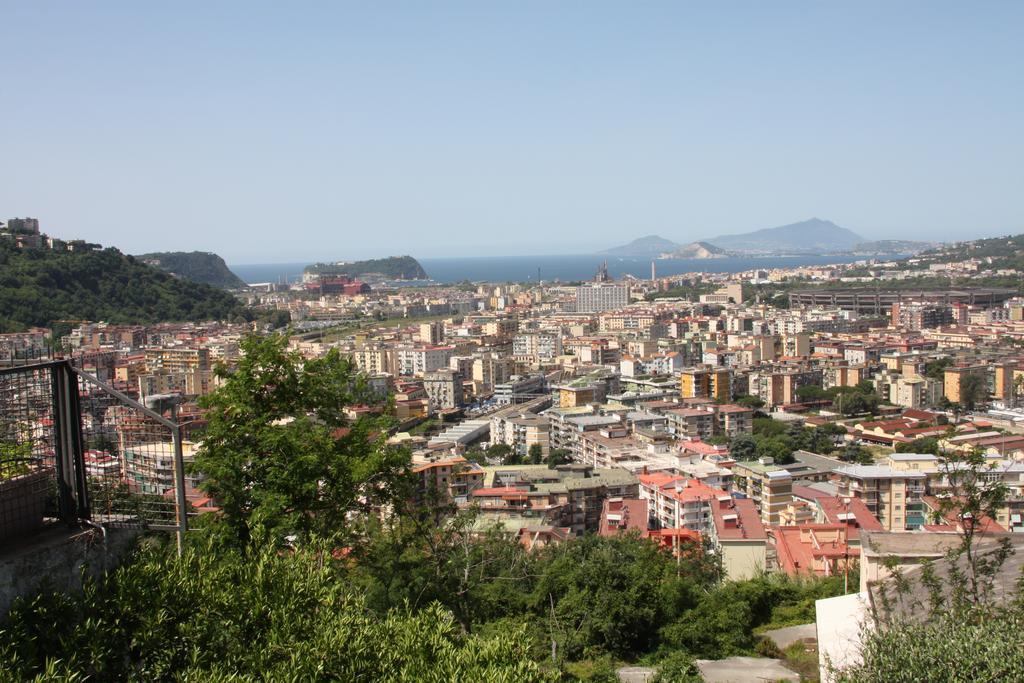 Vacation Agrumeto Flegreo Casa vacanze Napoli
